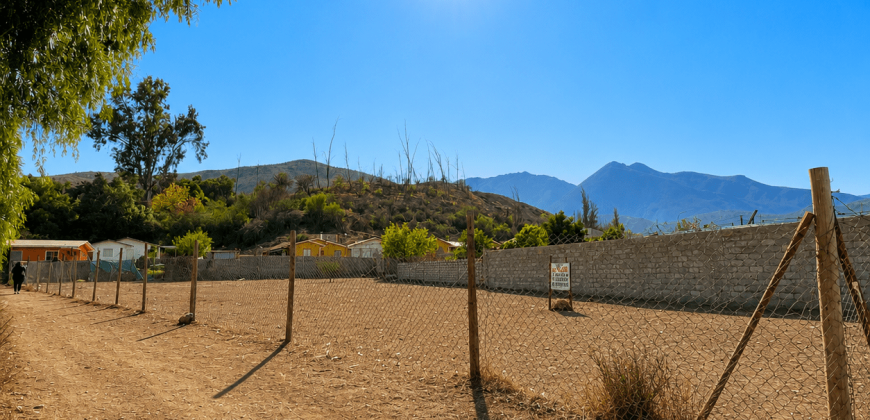 SITIO URBANO EN VENTA EN VICUÑA | 1.060 m² EN PRIMERA LÍNEA