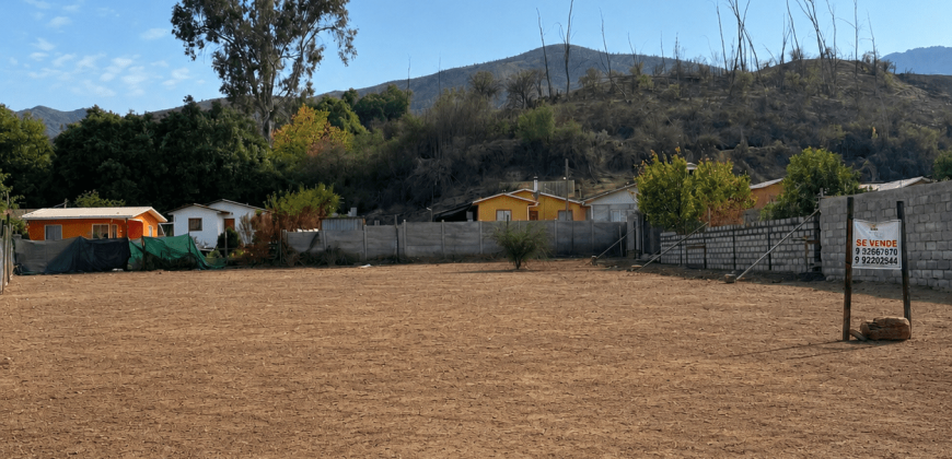 SITIO URBANO EN VENTA EN VICUÑA | 1.060 m² EN PRIMERA LÍNEA