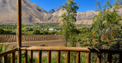 Parcela Agro-Residencial en Venta | El Arenal, Vicuña – Valle del Elqui
