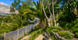 Parcela Agro-Residencial en Venta | El Arenal, Vicuña – Valle del Elqui