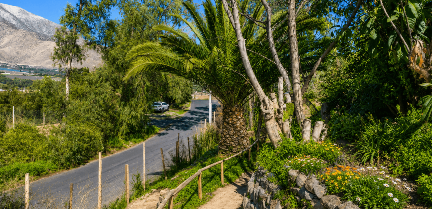 Parcela Agro-Residencial en Venta | El Arenal, Vicuña – Valle del Elqui