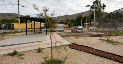 SITIO URBANO EN VENTA EN VICUÑA | 1.060 m² EN PRIMERA LÍNEA