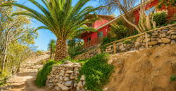 Parcela Agro-Residencial en Venta | El Arenal, Vicuña – Valle del Elqui