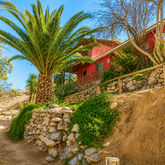 Parcela Agro-Residencial en Venta | El Arenal, Vicuña – Valle del Elqui