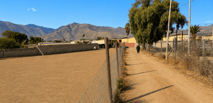 SITIO URBANO EN VENTA EN VICUÑA | 1.060 m² EN PRIMERA LÍNEA