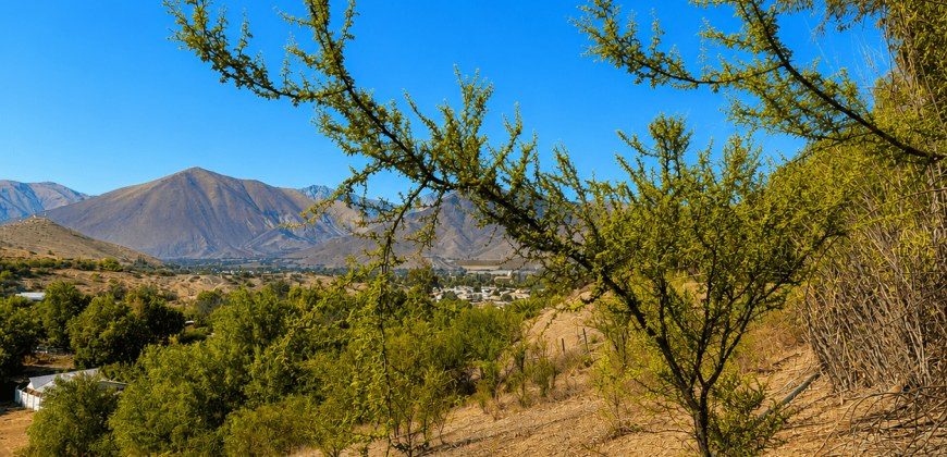 SITIO EN VENTA | HUANCARA, VICUÑA