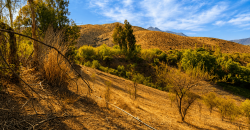 SITIO EN VENTA | HUANCARA, VICUÑA