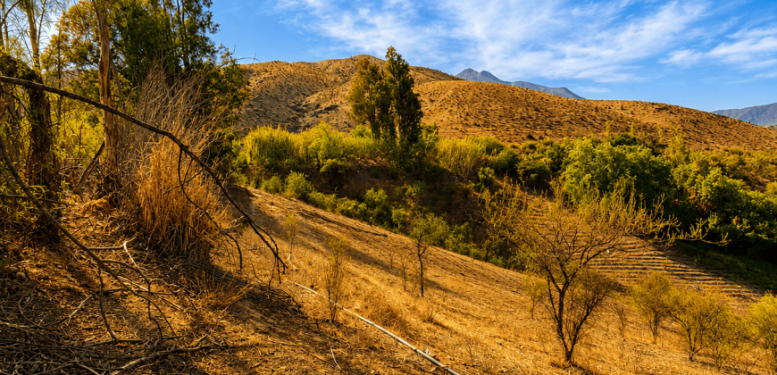 SITIO EN VENTA | HUANCARA, VICUÑA