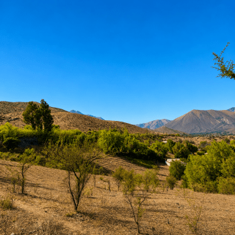 SITIO EN VENTA | HUANCARA, VICUÑA