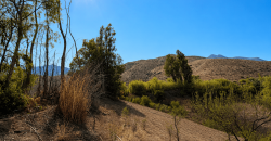 SITIO EN VENTA | HUANCARA, VICUÑA