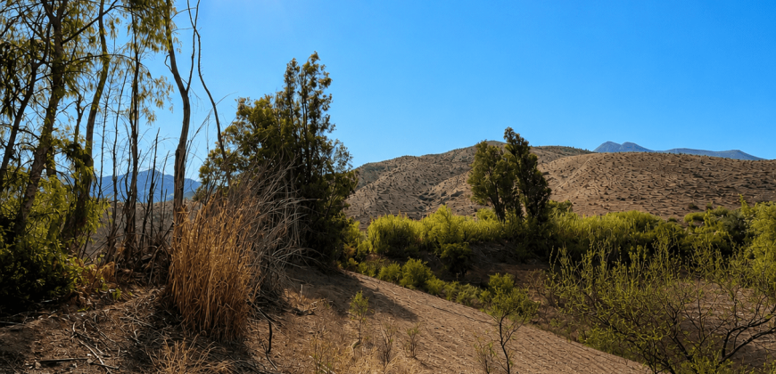 SITIO EN VENTA | HUANCARA, VICUÑA