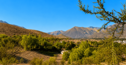 SITIO EN VENTA | HUANCARA, VICUÑA