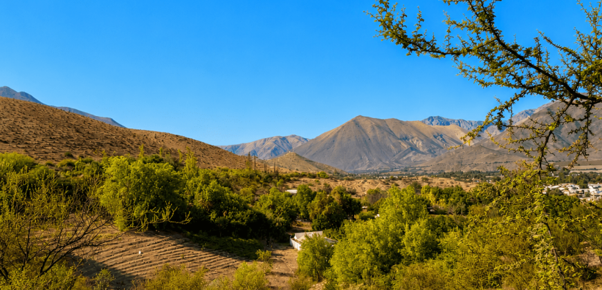 SITIO EN VENTA | HUANCARA, VICUÑA