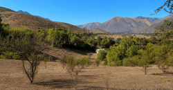 SITIO EN VENTA | HUANCARA, VICUÑA