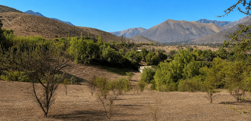 SITIO EN VENTA | HUANCARA, VICUÑA