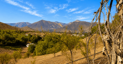 SITIO EN VENTA | HUANCARA, VICUÑA