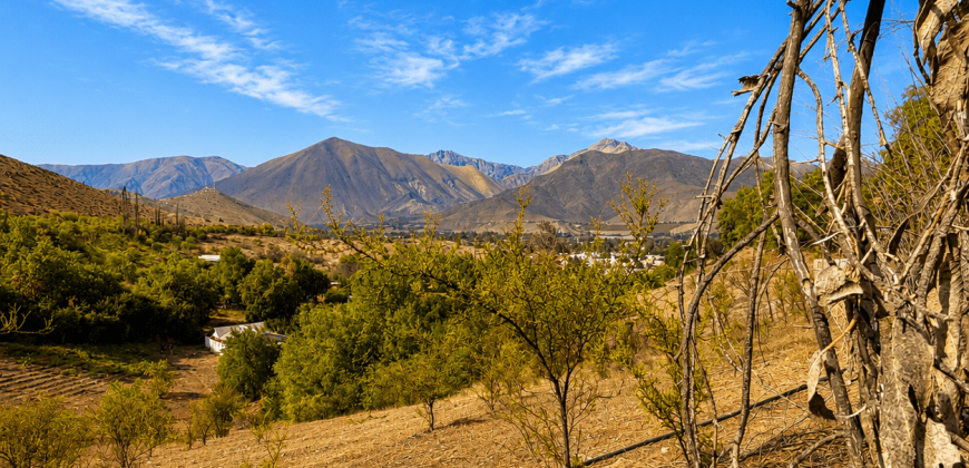 SITIO EN VENTA | HUANCARA, VICUÑA