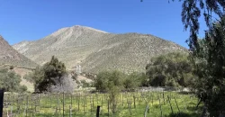 Parcelas de 5.000 m2 con Agua y Factibilidad de Luz
