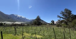 Parcelas de 5.000 m2 con Agua y Factibilidad de Luz