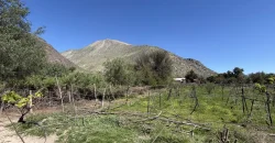 Parcelas de 5.000 m2 con Agua y Factibilidad de Luz