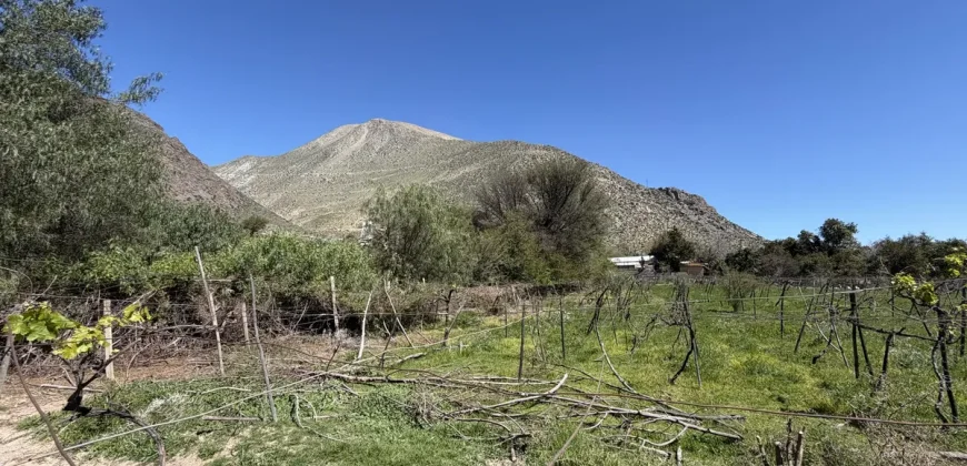 Parcelas de 5.000 m2 con Agua y Factibilidad de Luz
