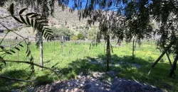 Parcelas de 5.000 m2 con Agua y Factibilidad de Luz