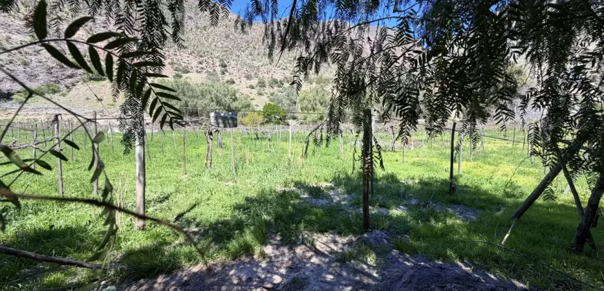 Parcelas de 5.000 m2 con Agua y Factibilidad de Luz
