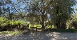 Parcelas de 5.000 m2 con Agua y Factibilidad de Luz