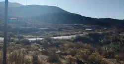 Terrenos 5.700 mt Sector La Estrella en 1ra Línea Valle Elqui