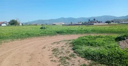 Parcela 5.001 Mts2 Rol Propio Sector Pan De Azúcar Coquimbo