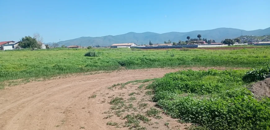Parcela 5.001 Mts2 Rol Propio Sector Pan De Azúcar Coquimbo