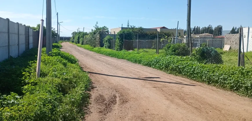 Parcela 5.001 Mts2 Rol Propio Sector Pan De Azúcar Coquimbo