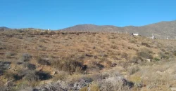 Terrenos 5.700 mt Sector La Estrella en 1ra Línea Valle Elqui
