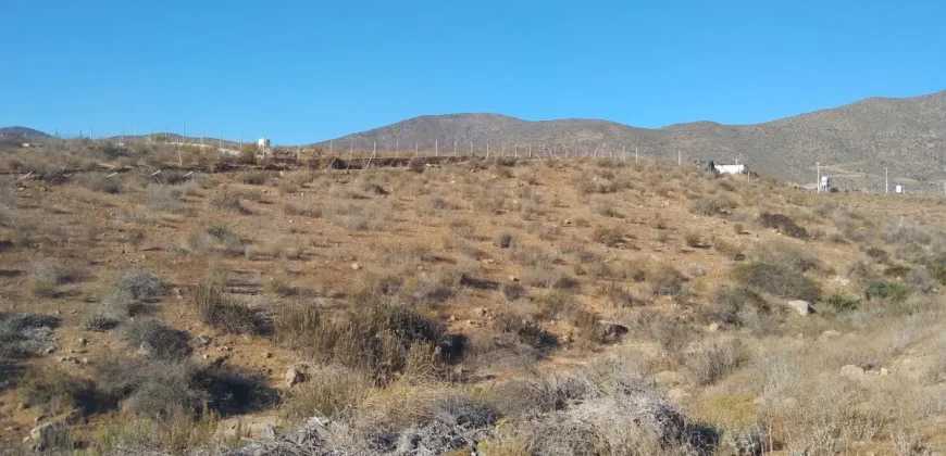 Terrenos 5.700 mt Sector La Estrella en 1ra Línea Valle Elqui