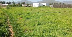 Parcela 5.001 Mts2 Rol Propio Sector Pan De Azúcar Coquimbo