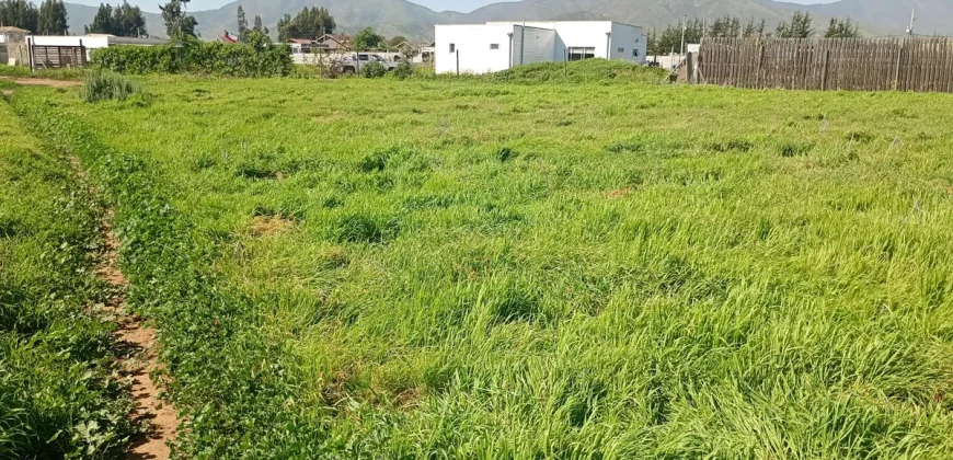 Parcela 5.001 Mts2 Rol Propio Sector Pan De Azúcar Coquimbo