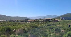 Terreno 5.029 Mts2 Estancia La Animas, Valle De Elqui