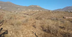 Terrenos 5.700 mt Sector La Estrella en 1ra Línea Valle Elqui