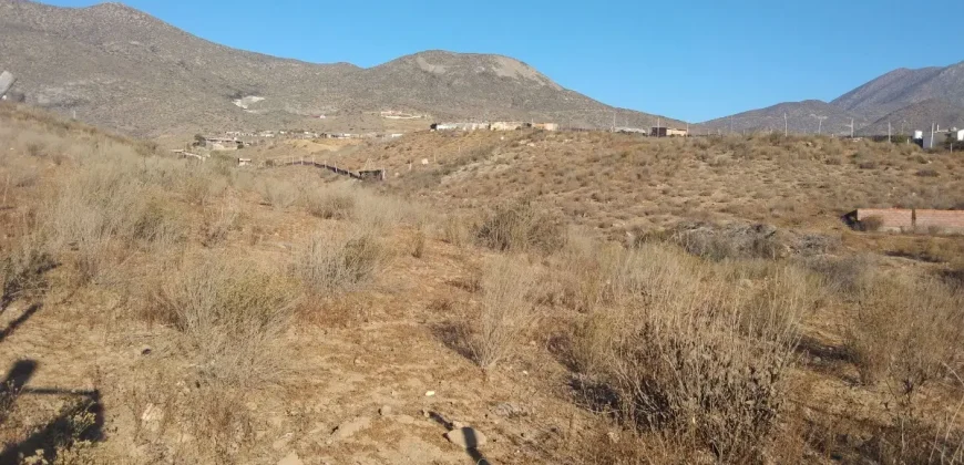 Terrenos 5.700 mt Sector La Estrella en 1ra Línea Valle Elqui