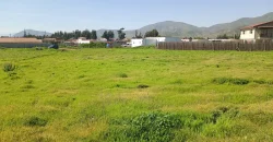 Parcela 5.001 Mts2 Rol Propio Sector Pan De Azúcar Coquimbo