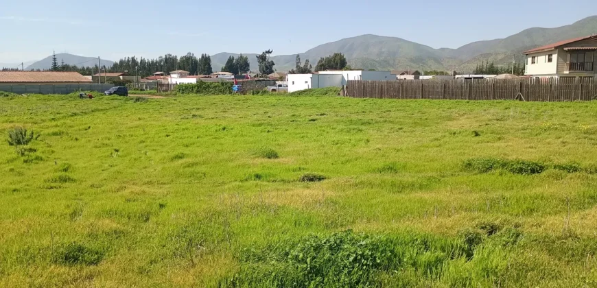 Parcela 5.001 Mts2 Rol Propio Sector Pan De Azúcar Coquimbo