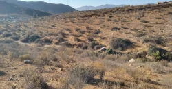 Terrenos 5.700 mt Sector La Estrella en 1ra Línea Valle Elqui