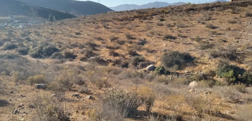 Terrenos 5.700 mt Sector La Estrella en 1ra Línea Valle Elqui