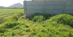 Parcela 5.001 Mts2 Rol Propio Sector Pan De Azúcar Coquimbo