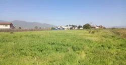Parcela 5.001 Mts2 Rol Propio Sector Pan De Azúcar Coquimbo