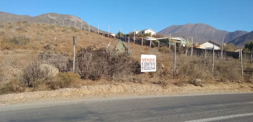 Terrenos 5.700 mt Sector La Estrella en 1ra Línea Valle Elqui