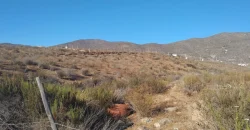 Terrenos 5.700 mt Sector La Estrella en 1ra Línea Valle Elqui