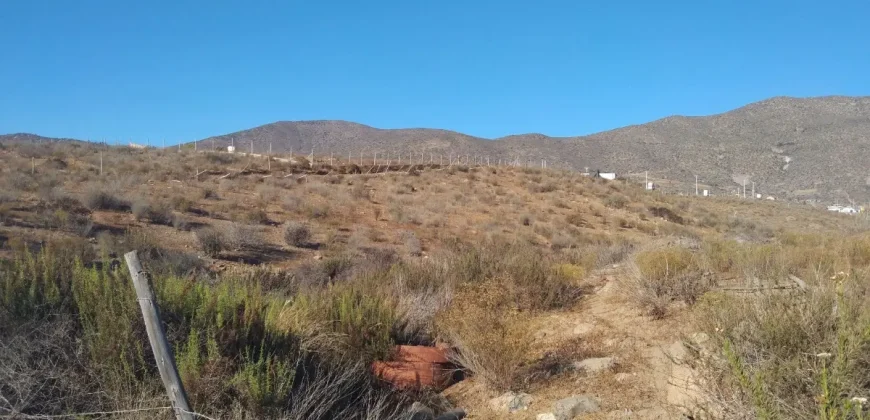 Terrenos 5.700 mt Sector La Estrella en 1ra Línea Valle Elqui
