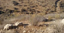 Terrenos 5.700 mt Sector La Estrella en 1ra Línea Valle Elqui