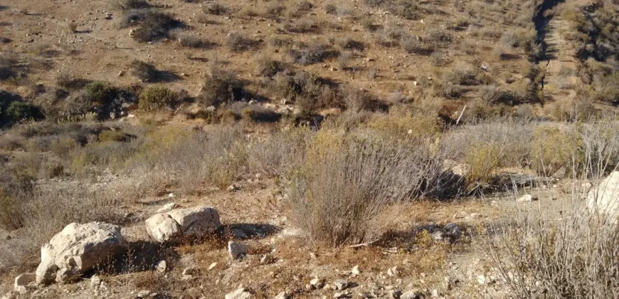 Terrenos 5.700 mt Sector La Estrella en 1ra Línea Valle Elqui